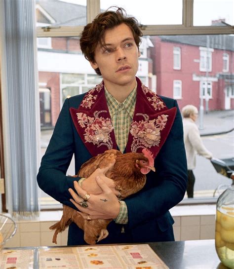 gucci men's tailoring campaign: harry styles|gucci harry styles campaign.